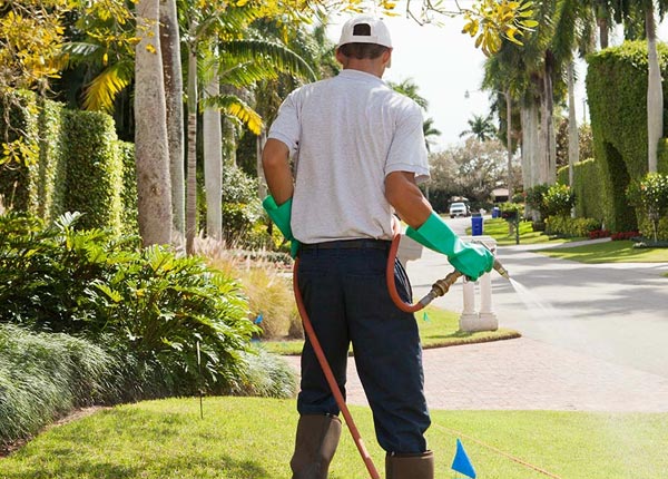 About Greenfield OK Pest Control